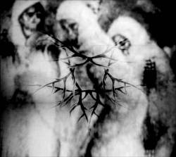 Panzerfrost (ESP) : Explicit Grimness